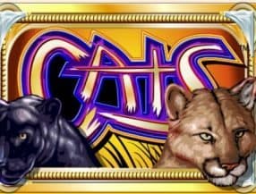 multicanais jogos de hoje ao vivo