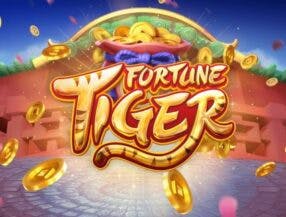 qual melhor hora para jogar fortune tiger
